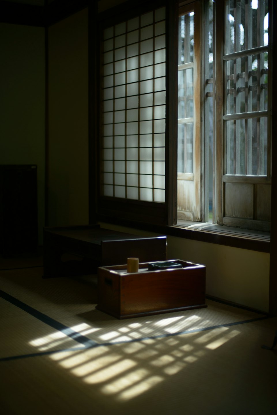 La luce del sole filtra attraverso una porta shoji su stuoie tatami.